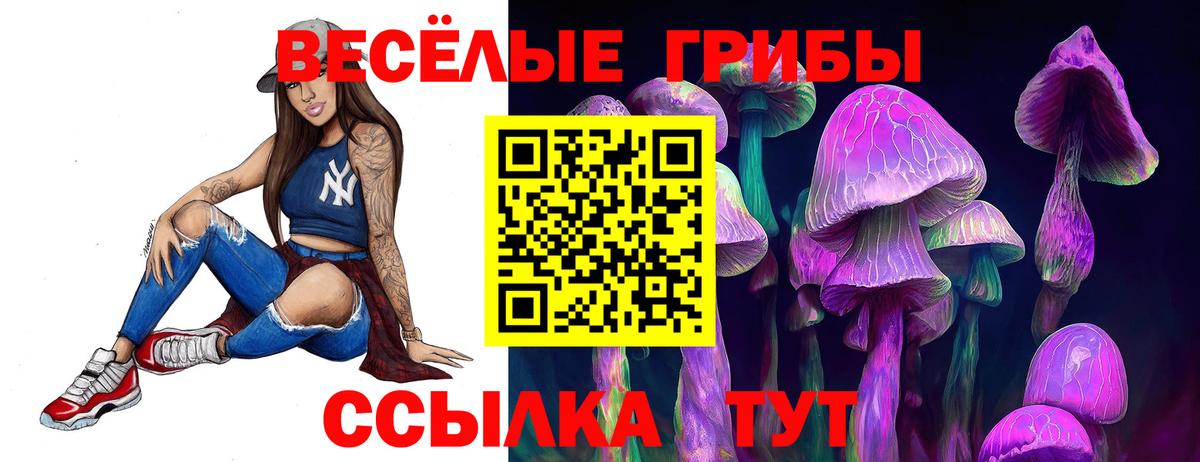 Сегежа  Псилоцибиновые грибы ЛСД  Вход с VPN 