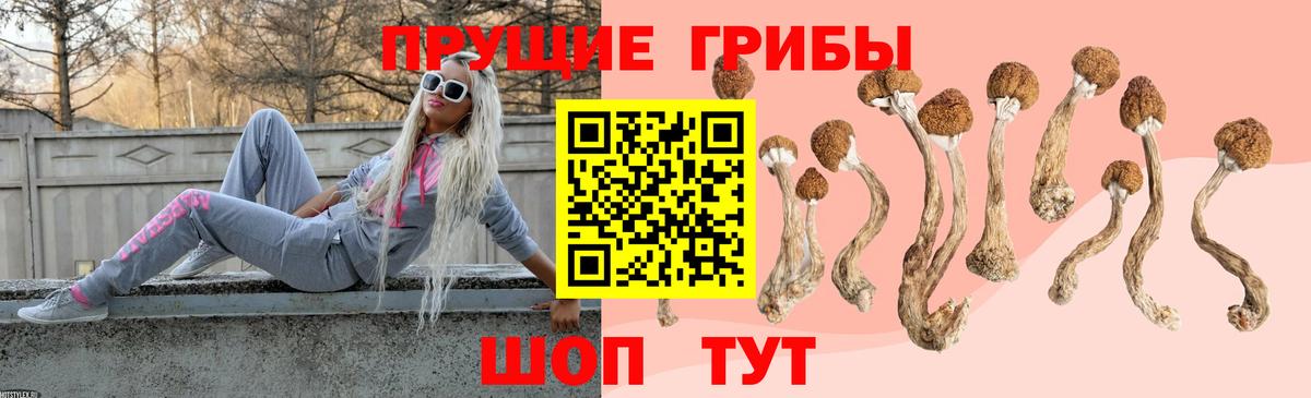 Псилоцибиновые грибы ЛСД Сегежа